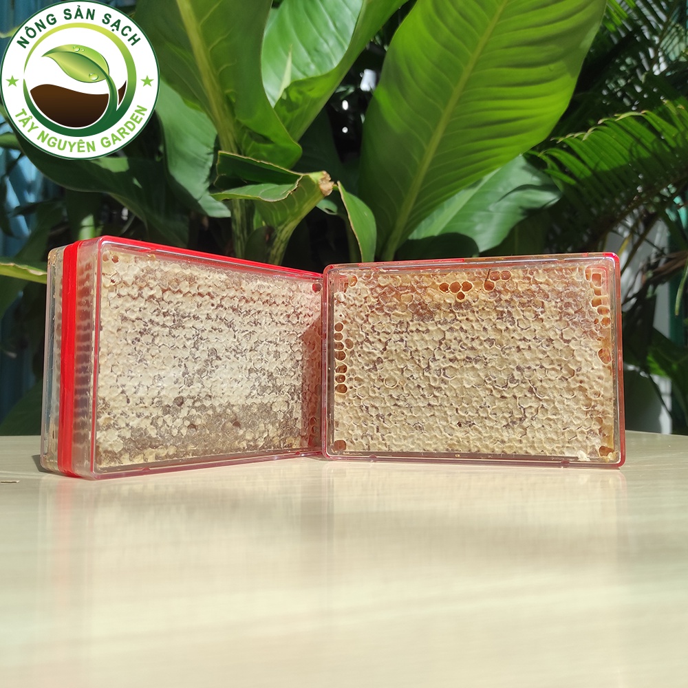 [500G] Mật ong BÁNH TỔ tươi nguyên sáp - mật ong nguyên sáp - nông sản sạch Tây Nguyên