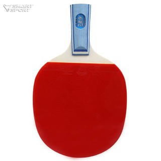 Vợt bóng bàn 729