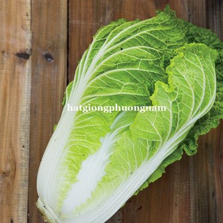 Hạt giống cải thảo