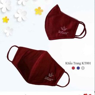 Khẩu trang than hoạt tính cao cấp Lotus