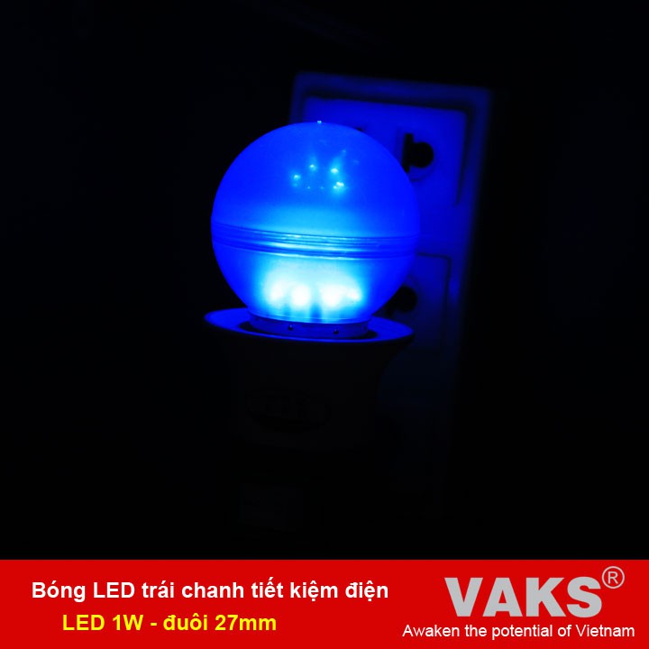 Bộ 02 Bóng led trái chanh tiết kiệm điện (1W) và 02 đuôi vặn kín nước DX17-1506