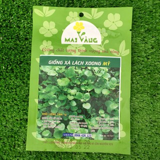 HẠT GIỐNG XÀ LÁCH XOONG MỸ CAO SẢN