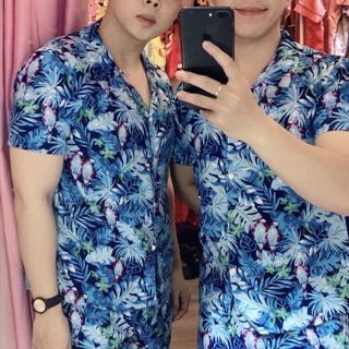 Bộ hawai vẹt xanh dương