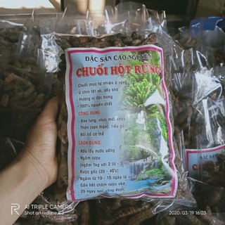 Chuối hột rừng chữa đau lưng nhức mỏi