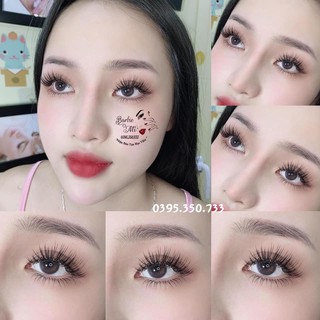Mi cong gãy LD lông chồn D'Palashes