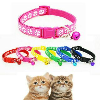 Vòng cổ cho thú cưng