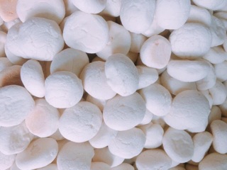 Bánh bao sữa