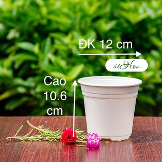 [Sỉ từ 20 cái] Chậu nhựa trắng trồng cây T12 (12x10.6 cm) dày dặn, dẻo dai