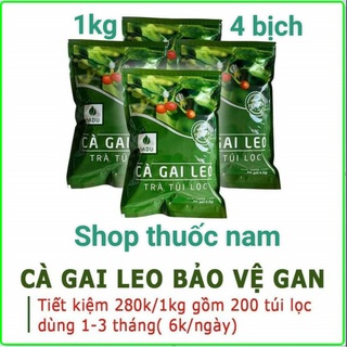 Trà cà gai leo túi lọc sadu-1kg