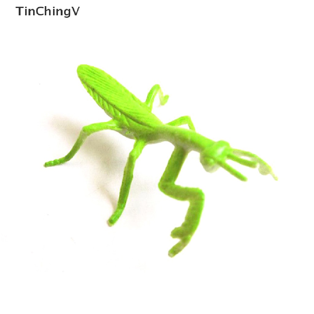 Set 8 Mô Hình Côn Trùng Bằng Nhựa Đồ Chơi Giáo Dục Cho Bé