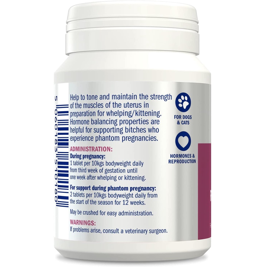 Raspberry Leaf - Dư.ỡ.ng thai cho chó & mèo