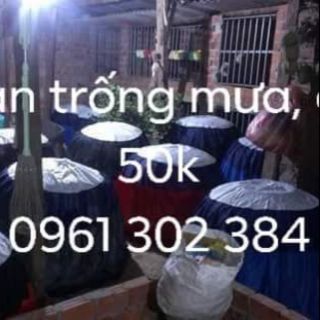 Màn tránh mưa cho gà