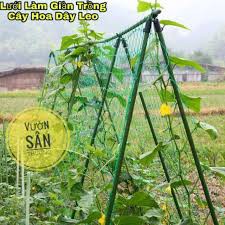 Lưới Làm Giàn, Trồng Cây, Dây Leo, Mắt Nhỏ 4x4 Cm, Sợi Xanh Bền, Chắc Khổ 2 m