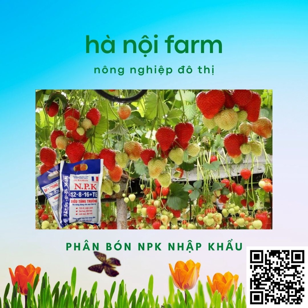 Phân bón NPK nhập khẩu 12-8-16+TE, Siêu Tăn Trưởng, Phân bón vi lượng. Gói 500g