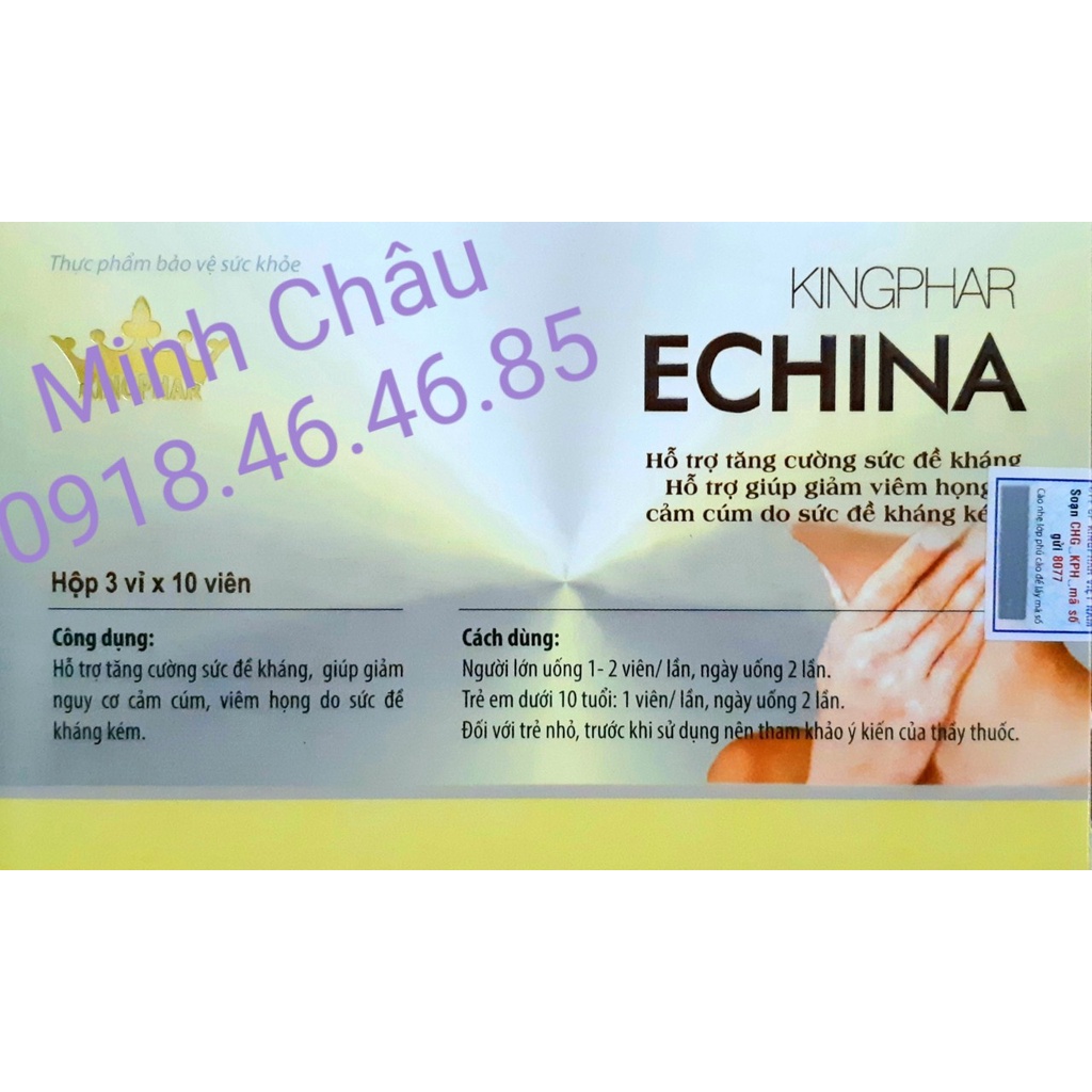 Echina hỗ trợ giảm cảm cúm, ho, viêm họng, tăng đề kháng