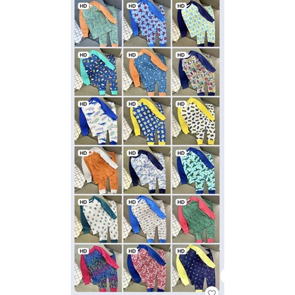 Bộ tay dài quần dài thun Borip size đại 22-45 ký quần áo trẻ em