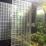 HÍT KÍNH GIỮ VÁCH NGĂN BỂ CÁ - HÍT KẸP KÍNH NGĂN BỂ