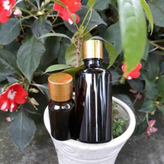 Combo tinh dầu tràm 50 và 10 ml