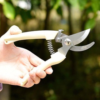 Kéo bấm cành cây