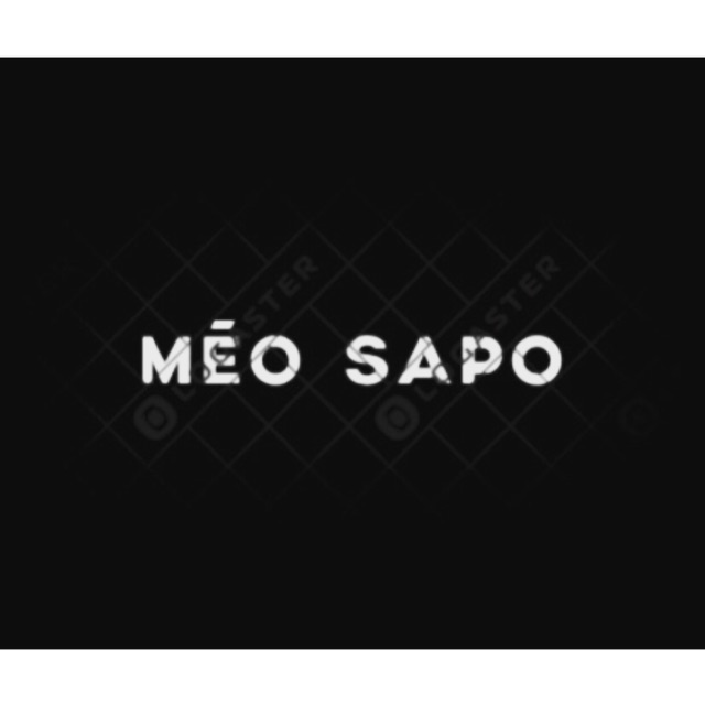 Méo_Sapo