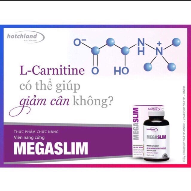 Viên uống giảm cân Megaslim USA