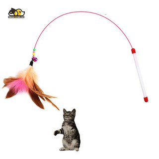 Cần Câu Mèo Dây Thép - Đồ chơi cho chó mèo - THEGIOICUNCUNG.COM