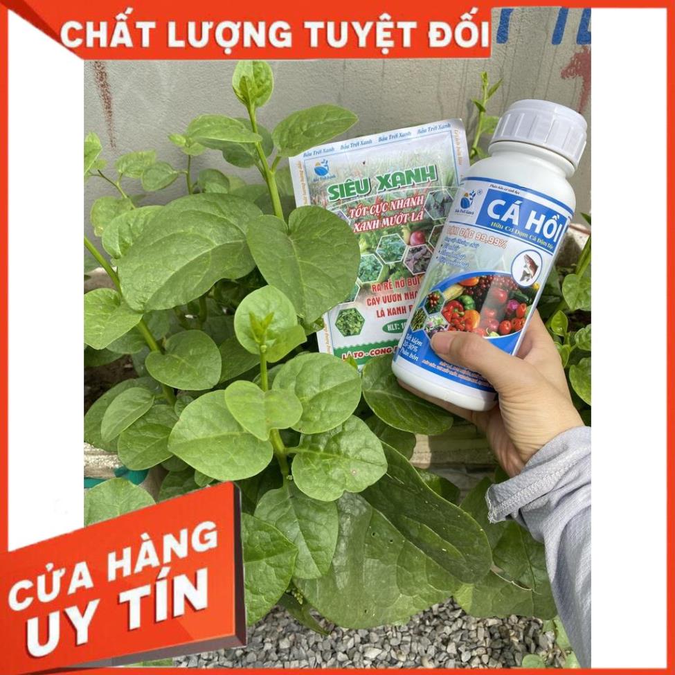 PHÂN BÓN CHO RAU, HOA, CÂY ĂN TRÁI💖HÀNG CHÍNH HÃNG, GÓI TO RẺ HƠN💖XANH LÁ, MẬP THÂN,RA RỄ, TO CỦ, MÃ ĐẸP 2