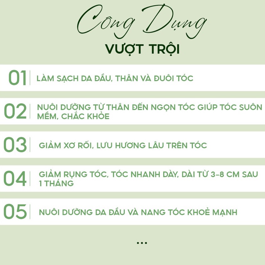 TINH DẦU BƯỞI - Xịt bưởi Vijully - Kích Mọc Tóc, Giảm Rụng Tóc, Dưỡng Dài, Xịt Mọc Tóc ( CAM KẾT CHÍNH HÃNG )