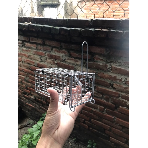 Lồng Chuột Đường Mòn