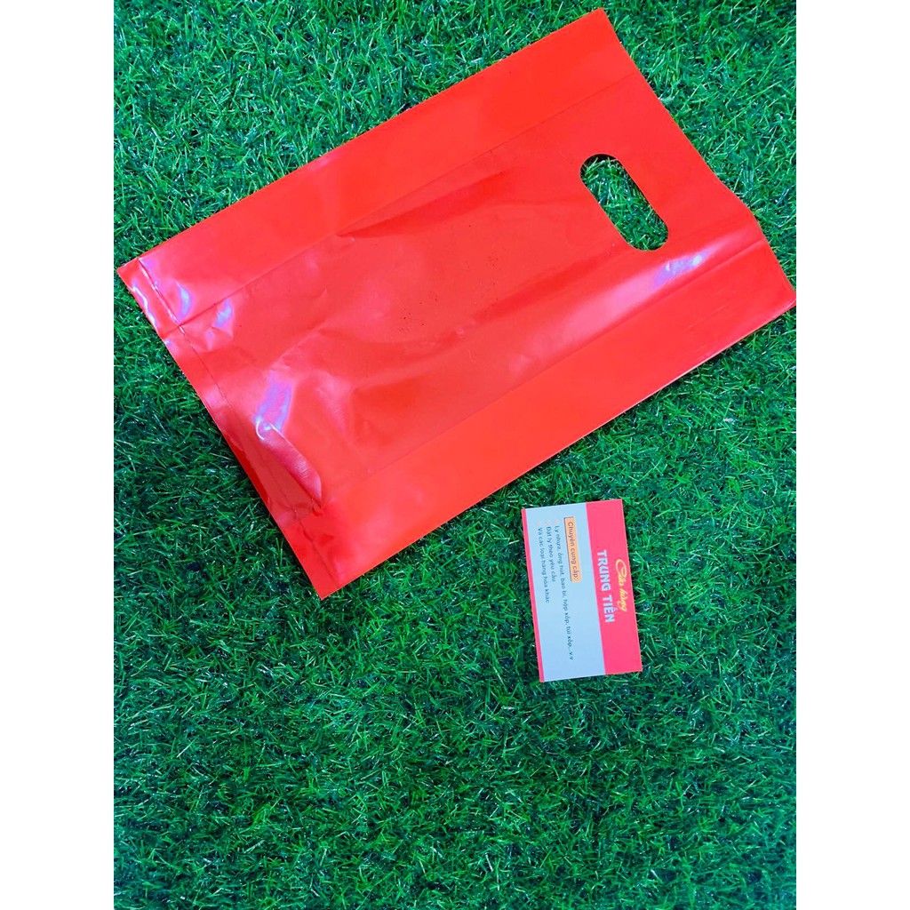 TÚI NILÔNG HỘT XOÀI PE DẺO MÀU