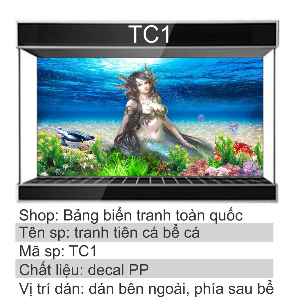 Tranh 3D dán bể cá mẫu tiên cá TC1
