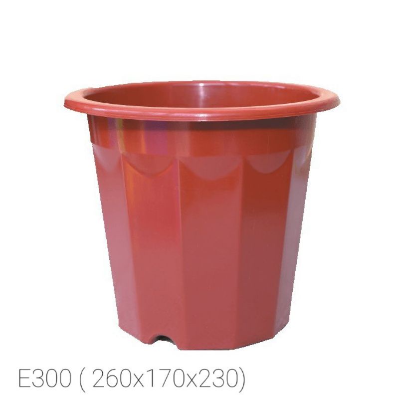 Combo 5 Chậu nhựa E260, E280, E300 hàng đẹp
