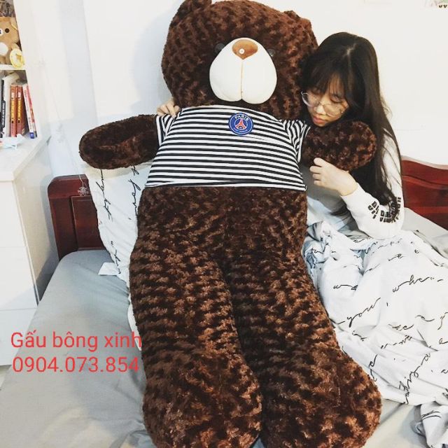 Gấu bông teddy màu socola cao 1m6