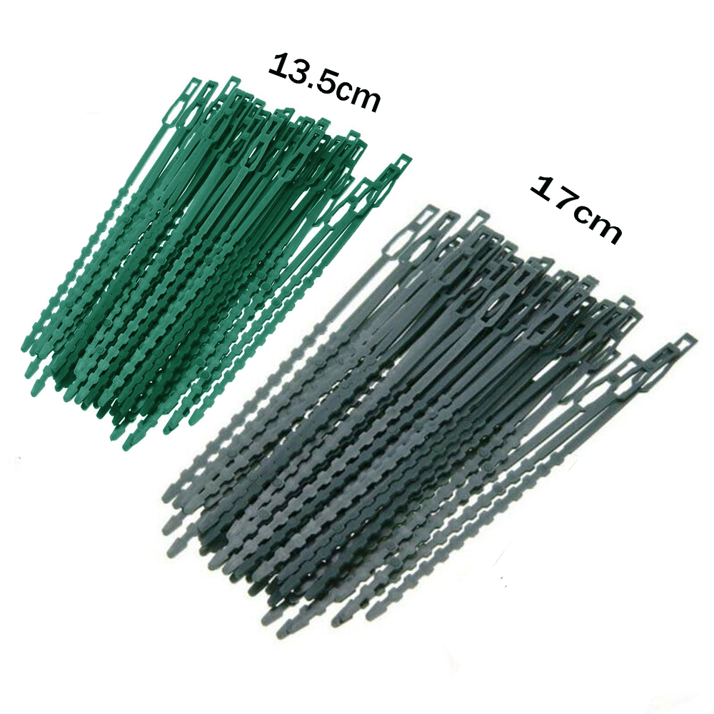 Set 50 Dây Rút Nhựa Có Thể Điều Chỉnh Hỗ Trợ Trồng Cây Dây Leo