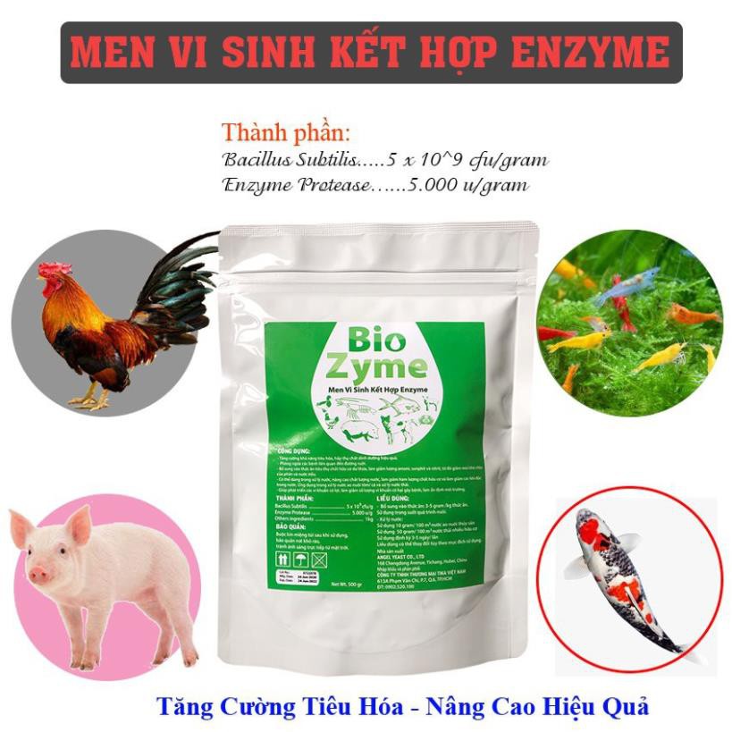 Men Vi Sinh Men tiêu hoá cho chó 🐶 mèo 🐱 BioZyme 500g- Ổn định vi sinh|ngừa tiêu chảy|giảm mùi hôi|kích thích tiêu hoá