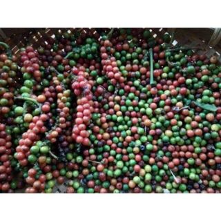 1kg tiêu tươi xanh nguyên chùm không chất bảo quản