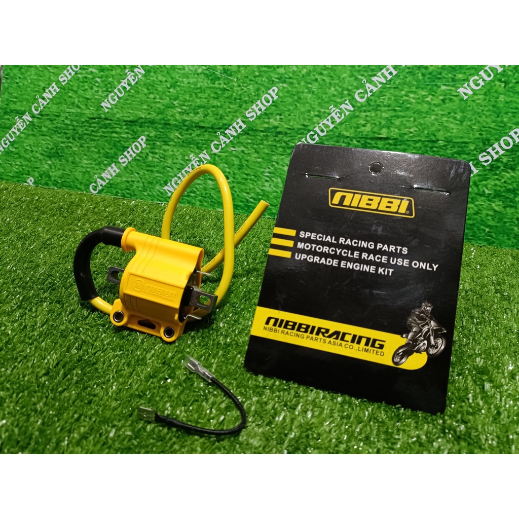 Mobin sườn NIBBI xăng cơ và Fi