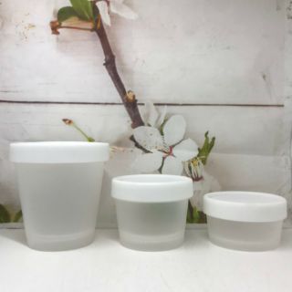 Combo 100 hủ nhựa thái 50g