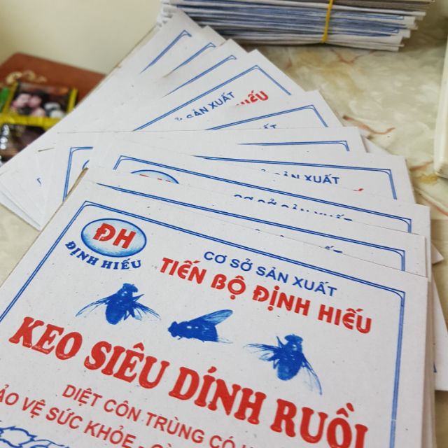 Combo 10 miếng keo dính ruồi, keo bẫy ruồi