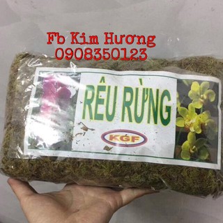 Bán Rêu rừng trồng Phong lan hàng chuẩn, nhập khẩu và phân phối.