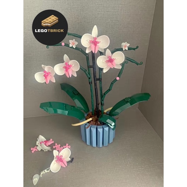 Đồ chơi lắp ráp mô hình thông minh Hoa Lan Tbrick