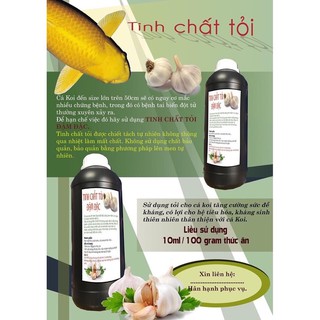 TINH CHẤT TỎI THIẾT YẾU CHO CÁ KOI