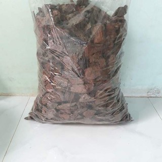 Combo 2kg vỏ thông