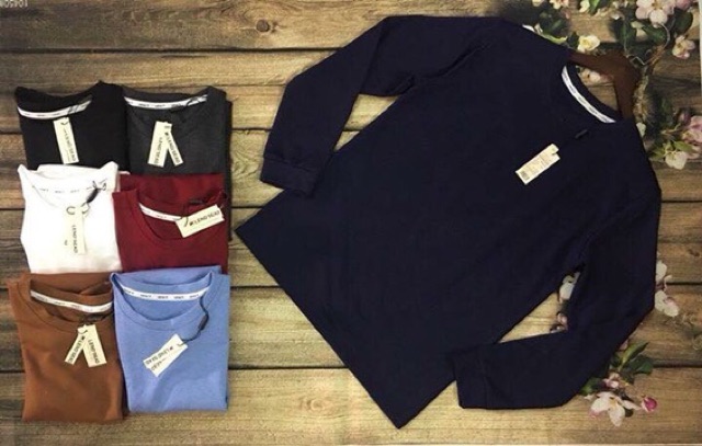 Bán sỉ áo nhiệt nam sll ! Hàng xuất Hàn Landseat | BigBuy360 - bigbuy360.vn