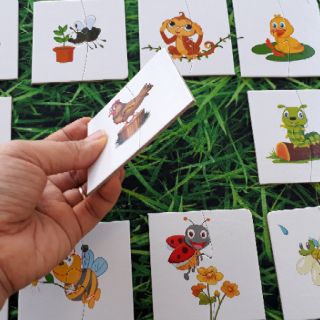 GHÉP HÌNH 2 MẢNH & TÌM BÓNG CON VẬT