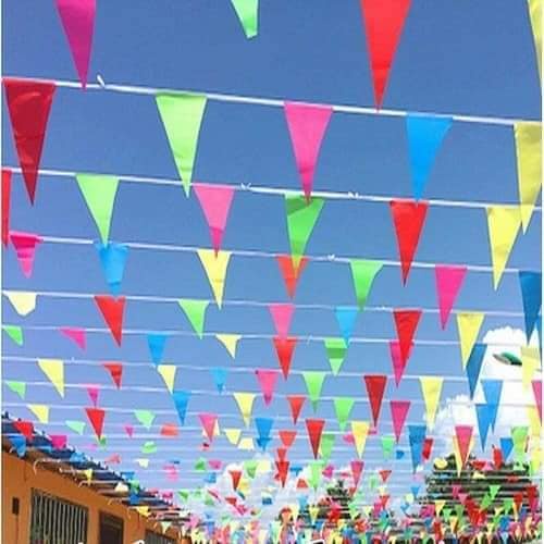 Sỉ cờ dây rẻ nhất loại đẹp, cờ tam giác, cờ đuôi nheo