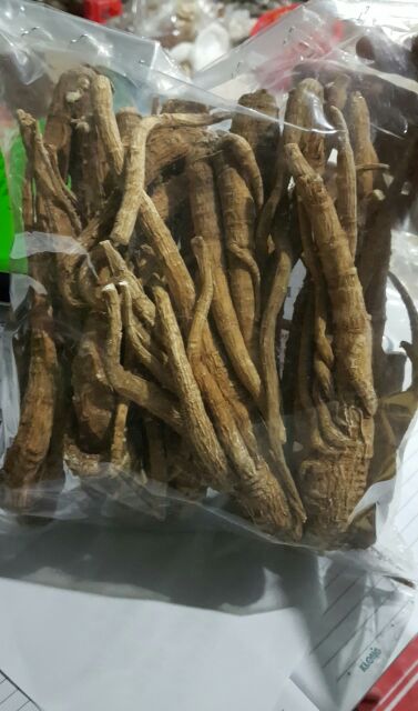 Củ linh chi đá Tam Đảo[1kg] củ Bạch Chỉ