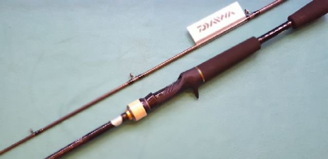 Cần câu lure Daiwa Bass X 2019