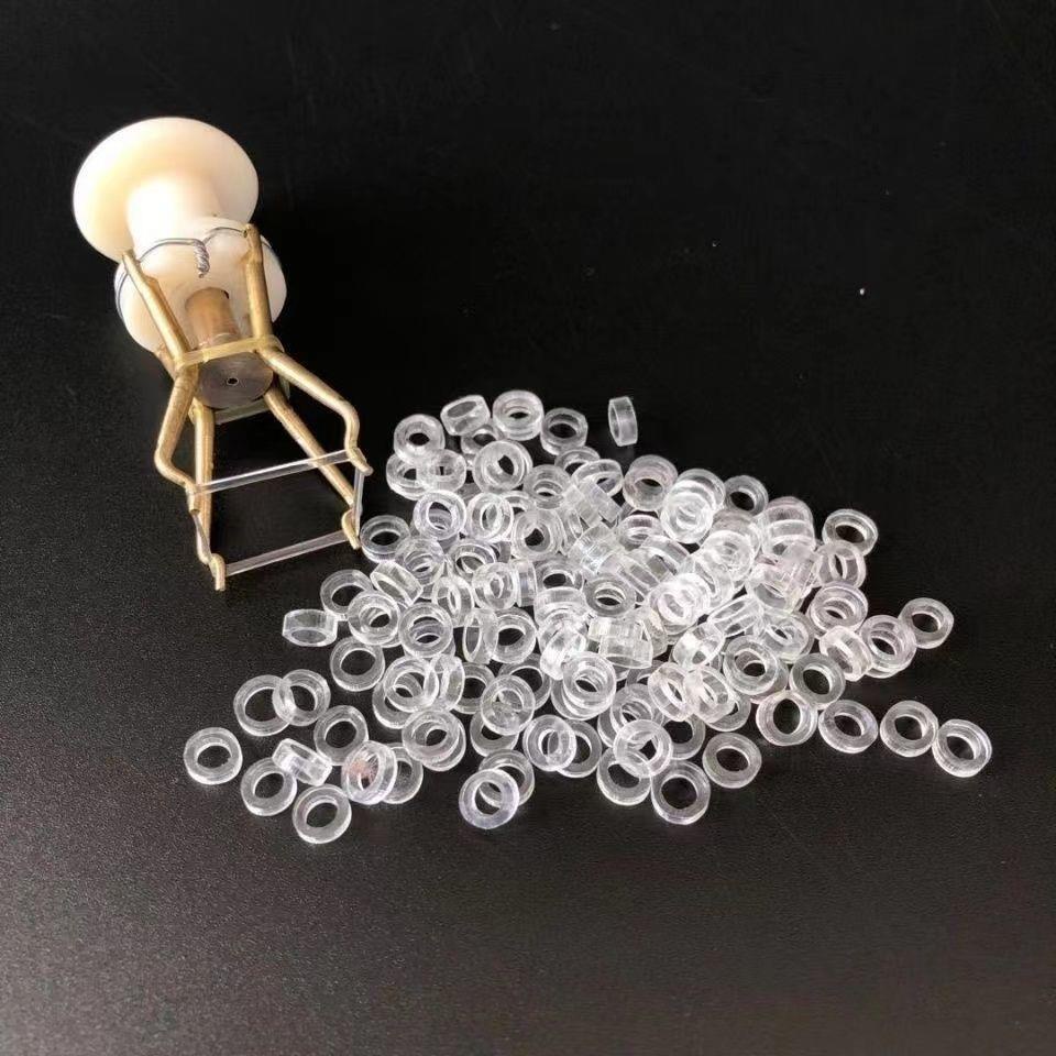 Vòng Cao Su Buộc Mồi Câu Cá Năm Cánh Cỡ Lớn Màu Xanh Lá / Đỏ