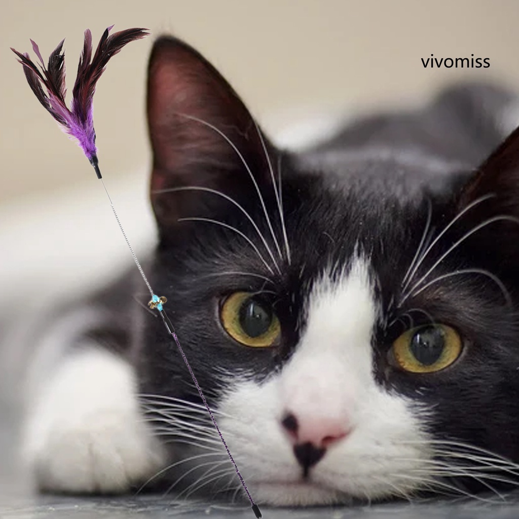 Gậy đồ chơi gắn lông vũ vui nhộn dành cho mèo